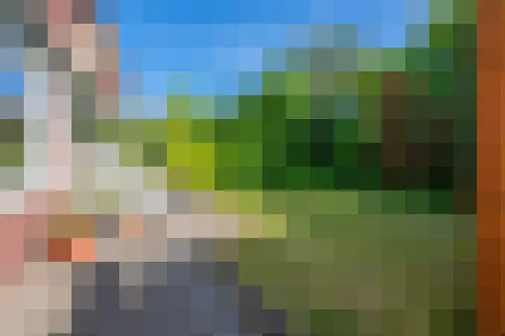 Rode Kruislaan 12 Groningen thumbnail 32