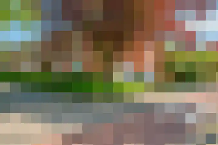 Rode Kruislaan 12 Groningen thumbnail 5