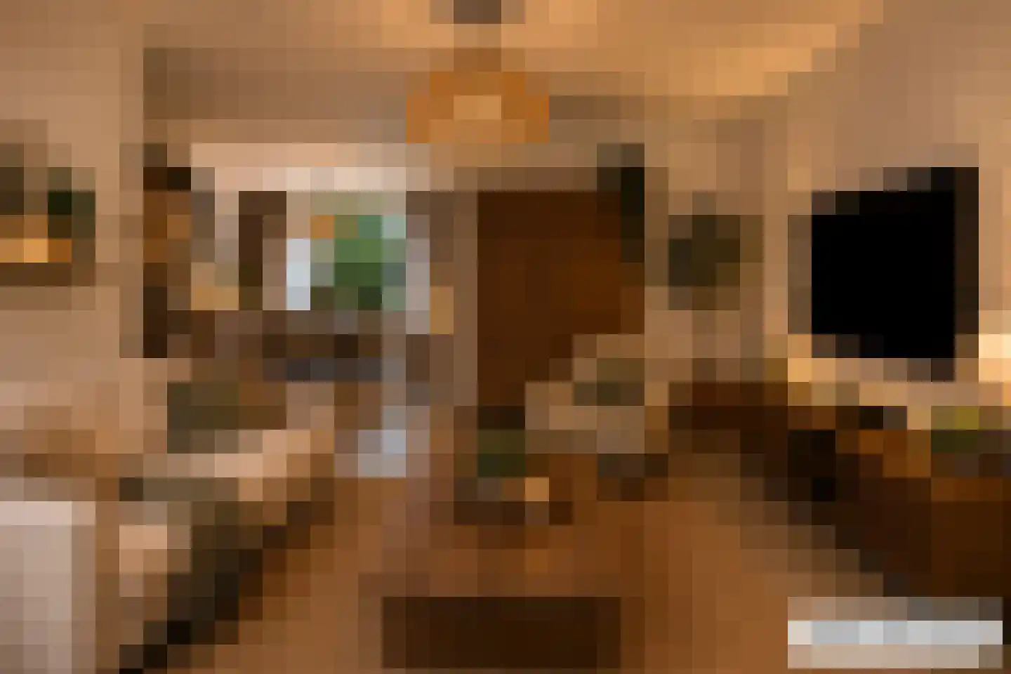 Rode Kruislaan 123 Eindhoven thumbnail 10
