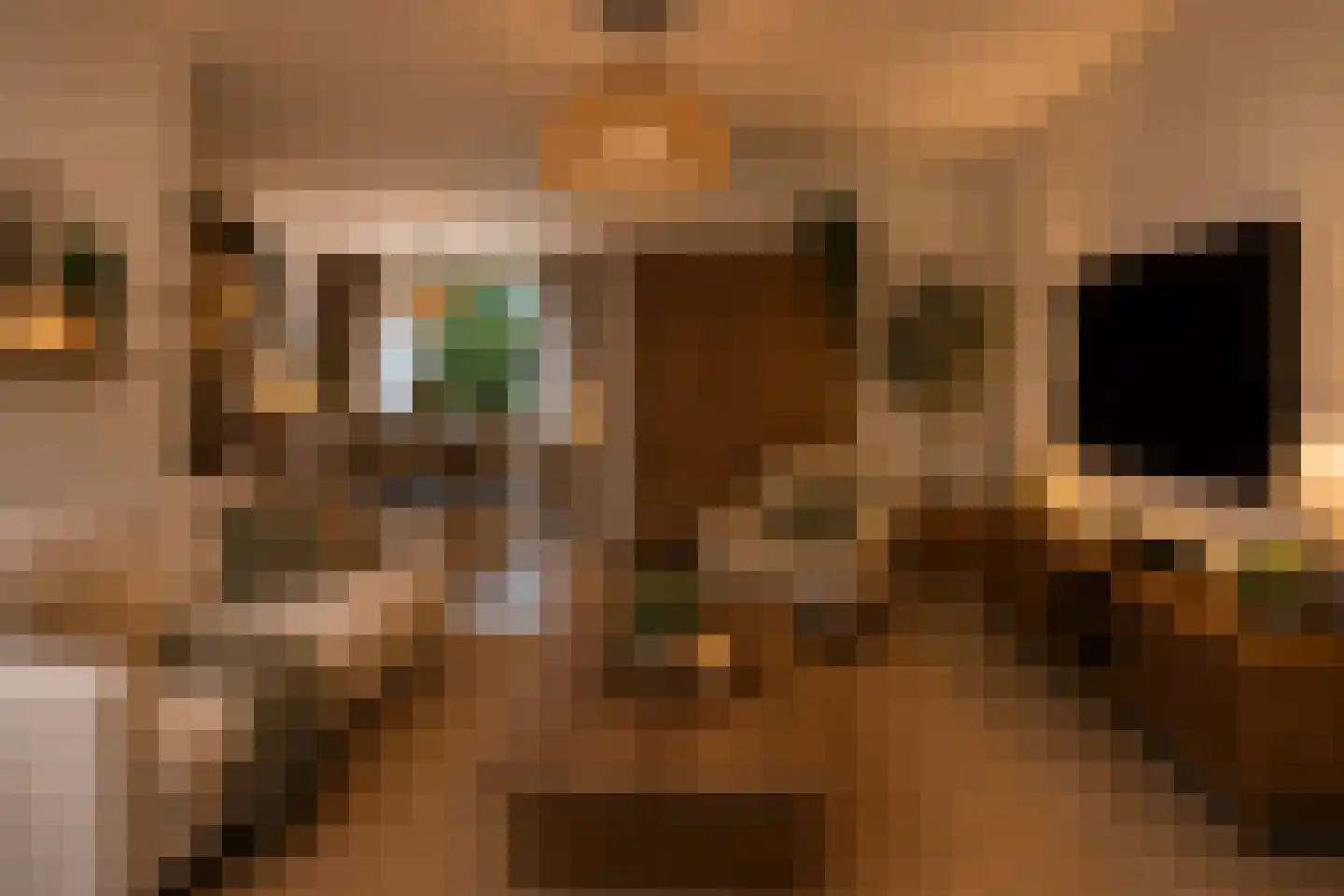 Rode Kruislaan 123 Eindhoven thumbnail 10