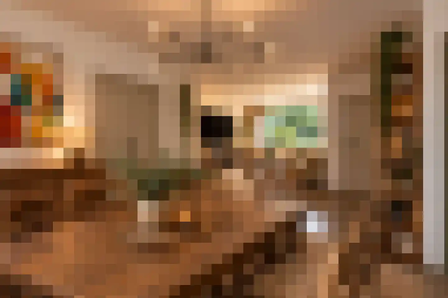 Rode Kruislaan 123 Eindhoven thumbnail 13