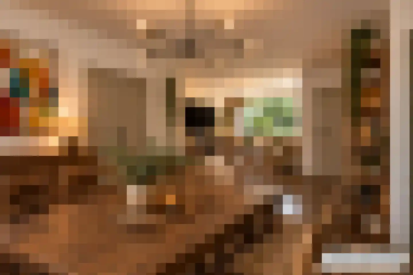 Rode Kruislaan 123 Eindhoven thumbnail 13