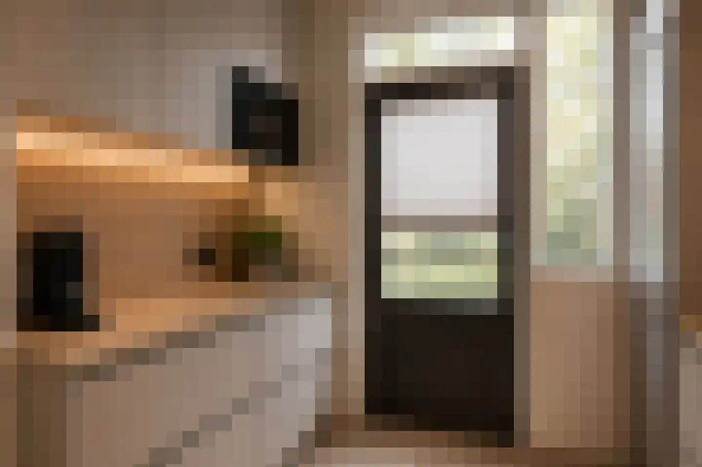 Rode Kruislaan 123 Eindhoven thumbnail 17