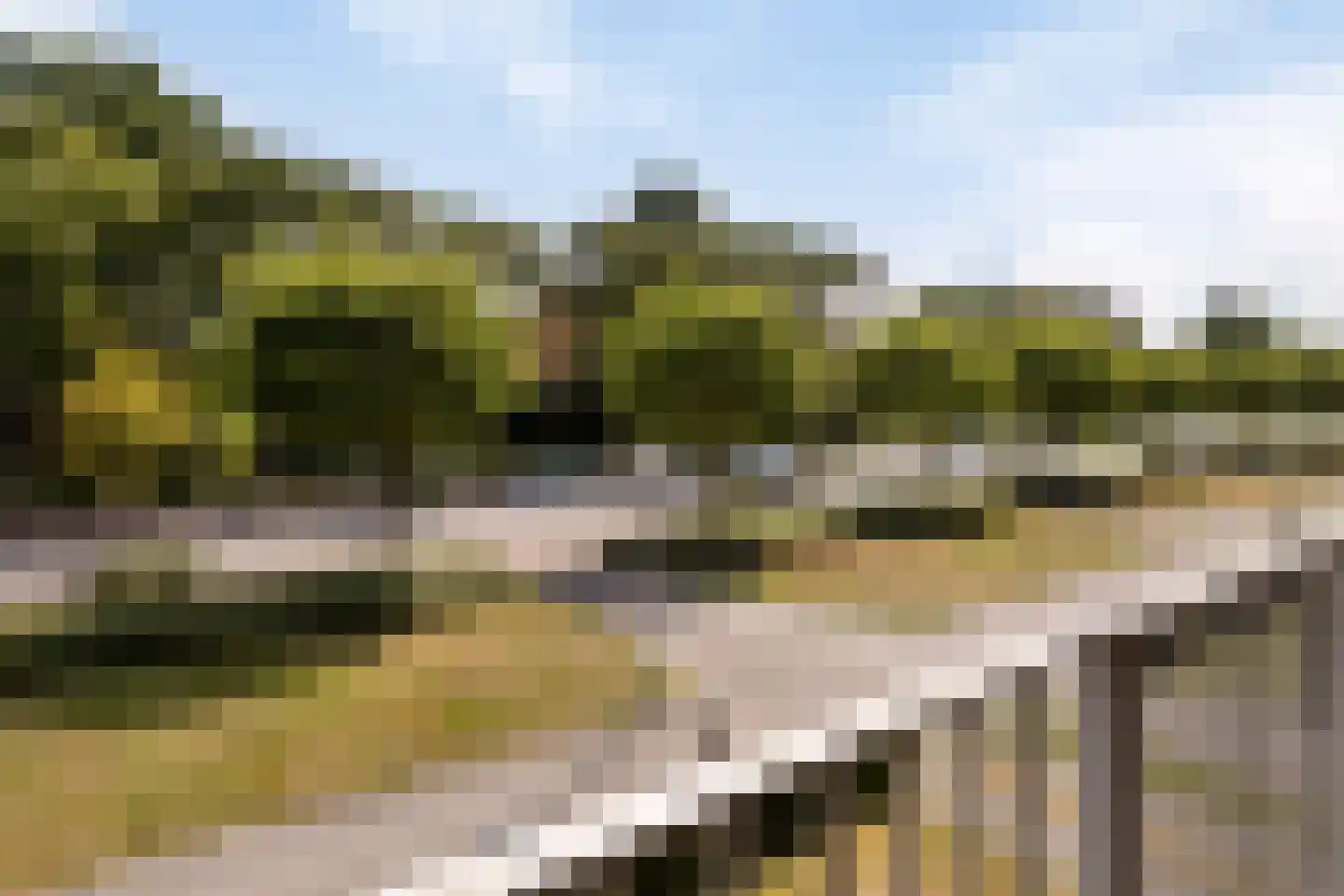 Rode Kruislaan 123 Eindhoven thumbnail 21