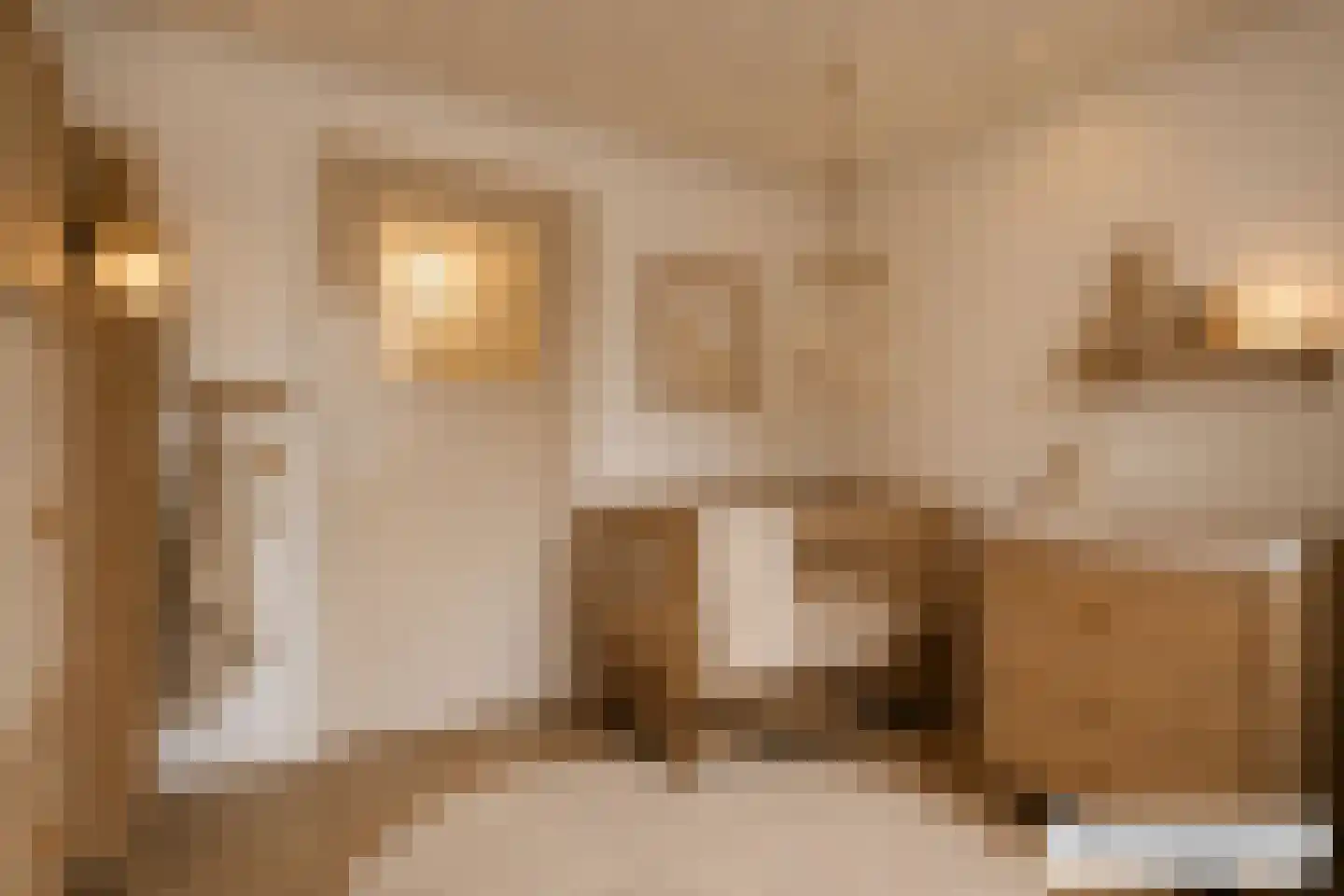 Rode Kruislaan 123 Eindhoven thumbnail 30
