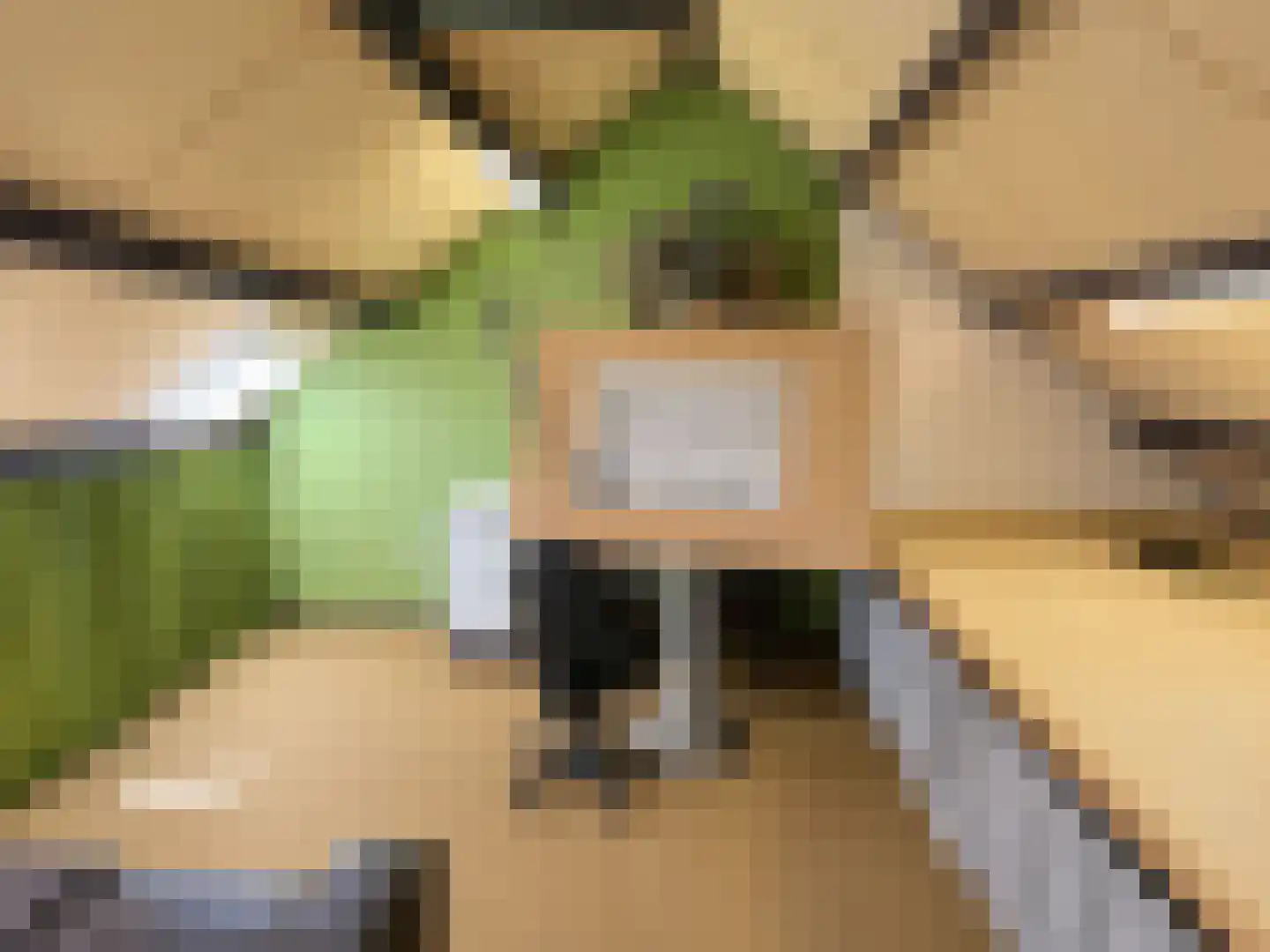 Rode Kruislaan 123 Eindhoven thumbnail 33