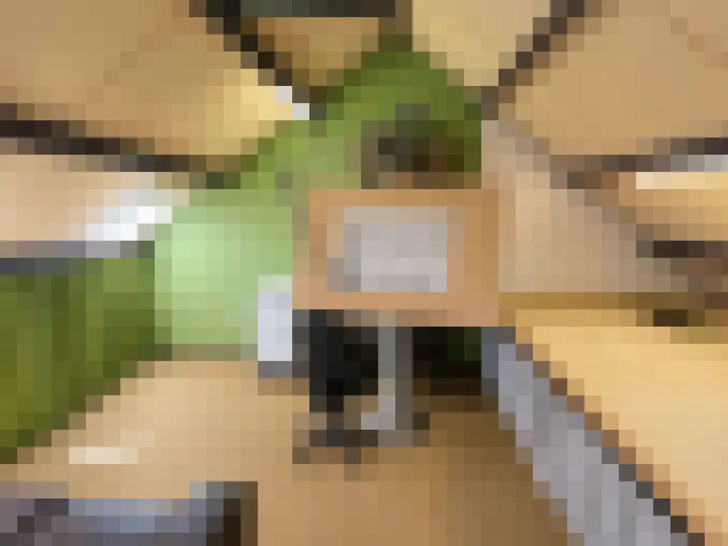 Rode Kruislaan 123 Eindhoven thumbnail 33