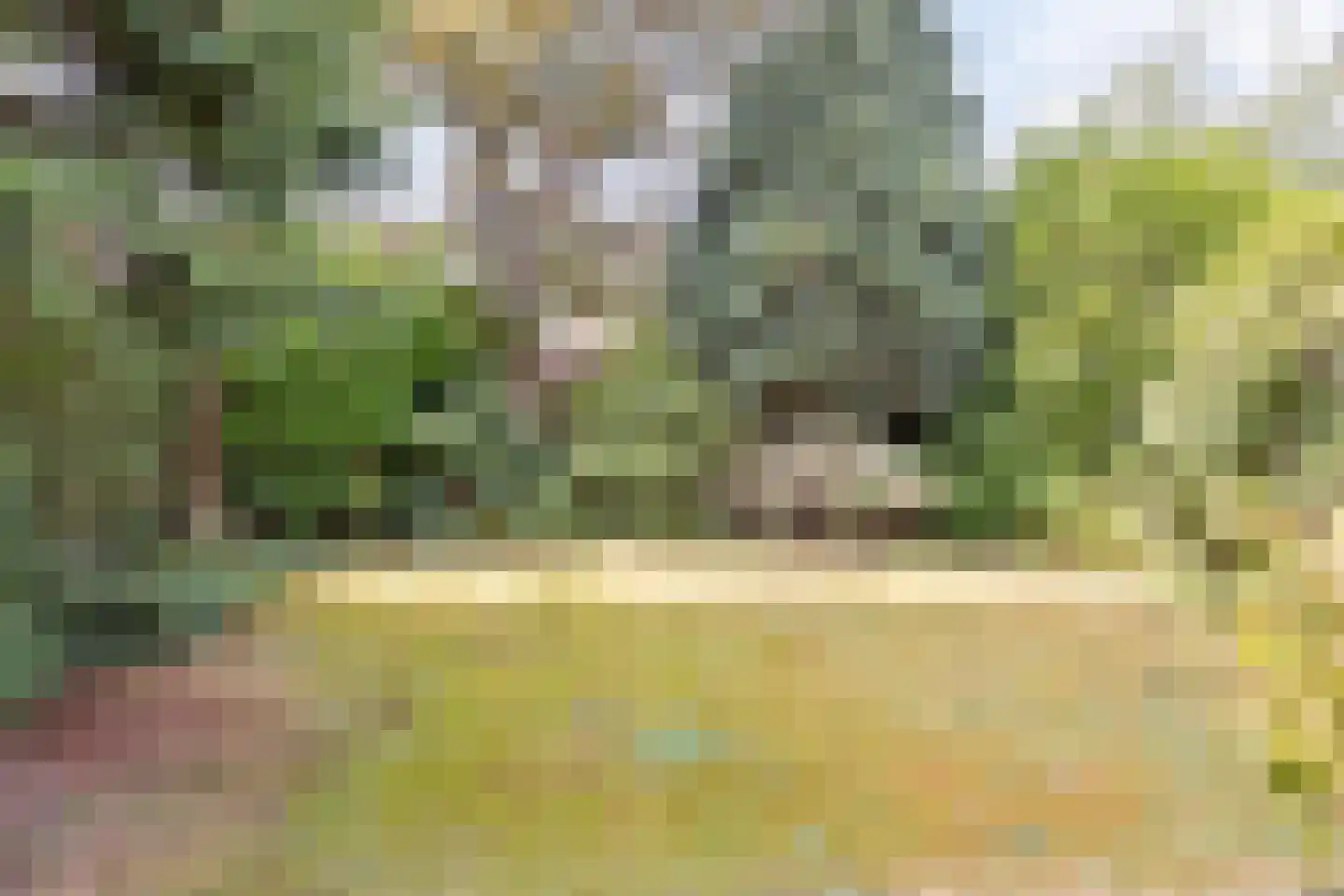 Rode Kruislaan 123 Eindhoven thumbnail 36