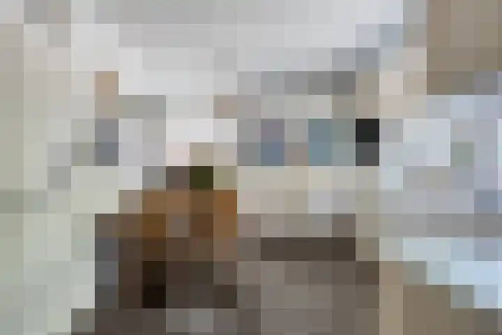 Rode-Kruislaan 14 Nunspeet thumbnail 11