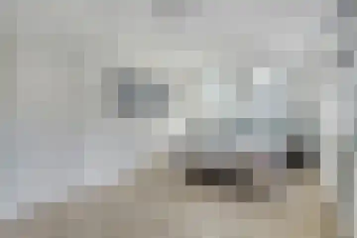 Rode-Kruislaan 14 Nunspeet thumbnail 17