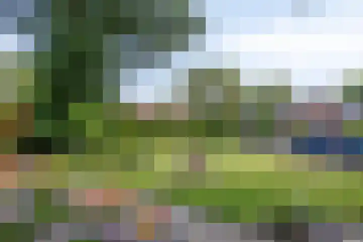 Rode-Kruislaan 14 Nunspeet thumbnail 24