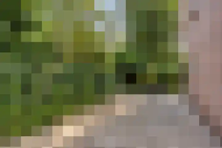 Rode-Kruislaan 14 Nunspeet thumbnail 32
