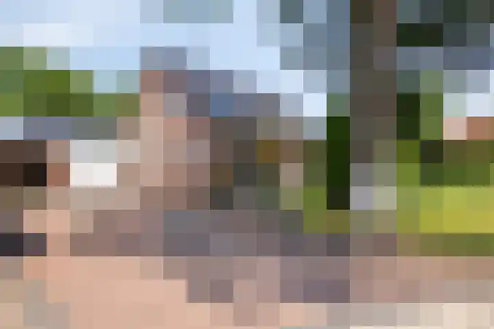 Rode-Kruislaan 14 Nunspeet thumbnail 5