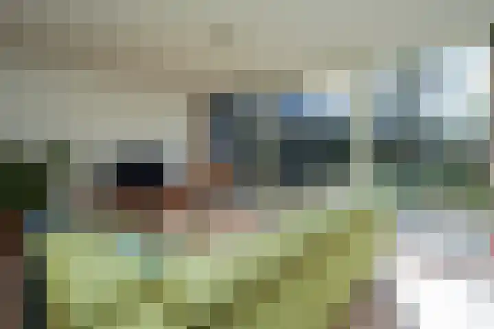 Rode Kruislaan 15 Nijmegen thumbnail 10