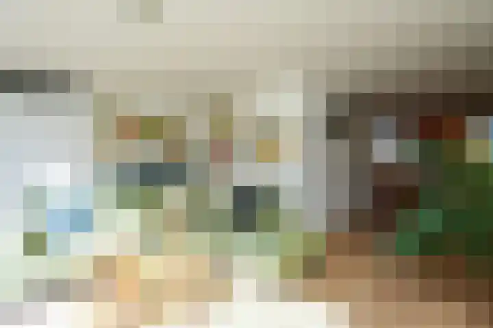 Rode Kruislaan 15 Nijmegen thumbnail 12