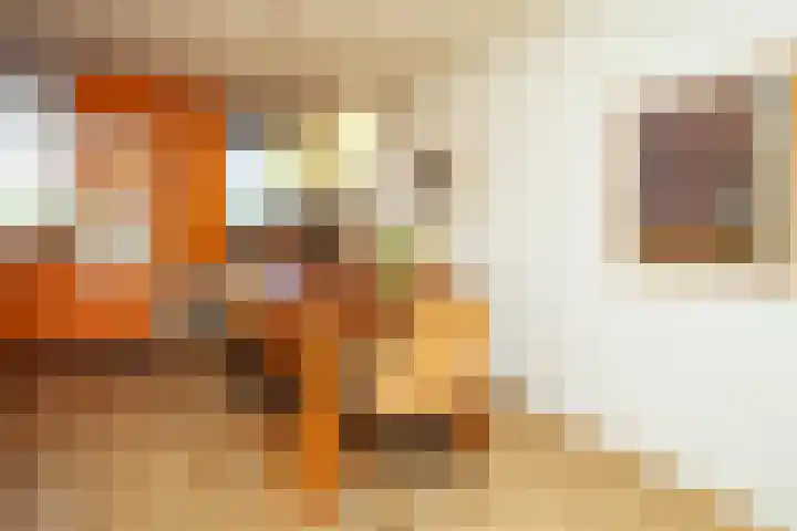 Rode Kruislaan 15 Nijmegen thumbnail 15