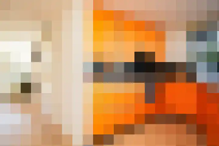 Rode Kruislaan 15 Nijmegen thumbnail 16