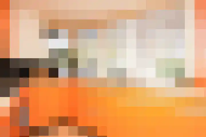 Rode Kruislaan 15 Nijmegen thumbnail 18