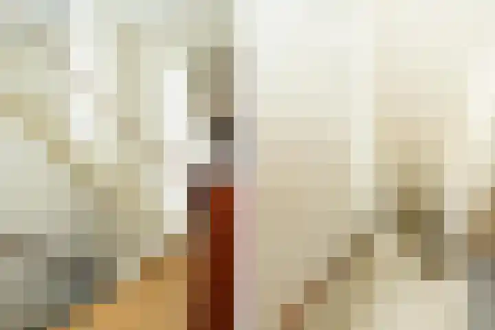 Rode Kruislaan 15 Nijmegen thumbnail 33