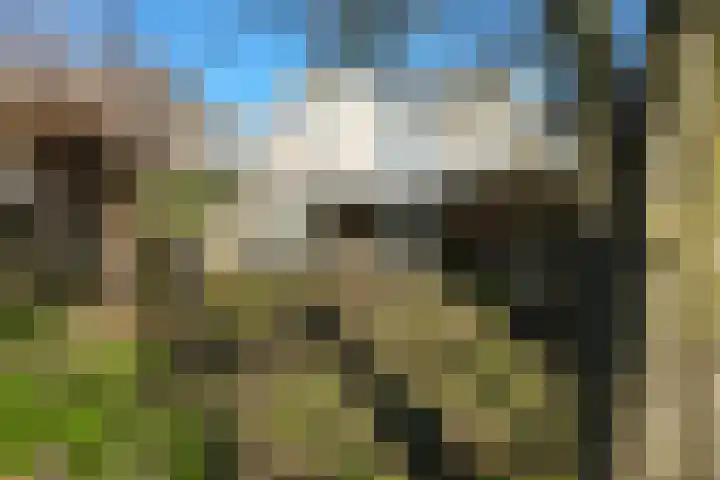 Rode Kruislaan 15 Nijmegen thumbnail 40