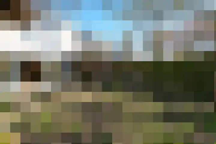 Rode Kruislaan 15 Nijmegen thumbnail 41