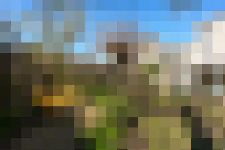 Rode Kruislaan 15 Nijmegen thumbnail 46