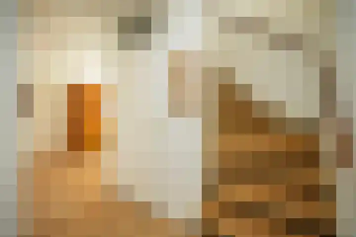 Rode Kruislaan 15 Nijmegen thumbnail 6