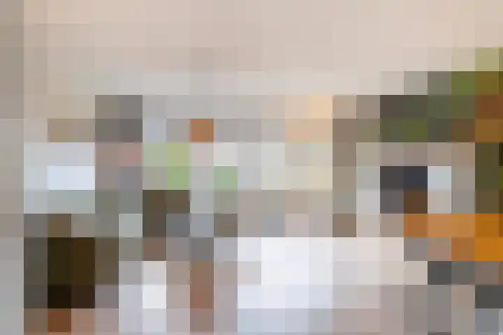Rode Kruislaan 17 Vlaardingen thumbnail 13