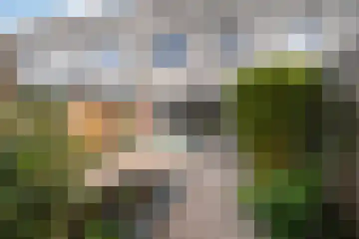 Rode Kruislaan 17 Vlaardingen thumbnail 22