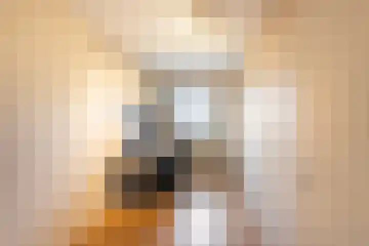 Rode Kruislaan 17 Vlaardingen thumbnail 30