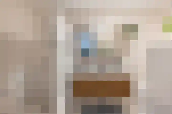 Rode Kruislaan 17 Vlaardingen thumbnail 33