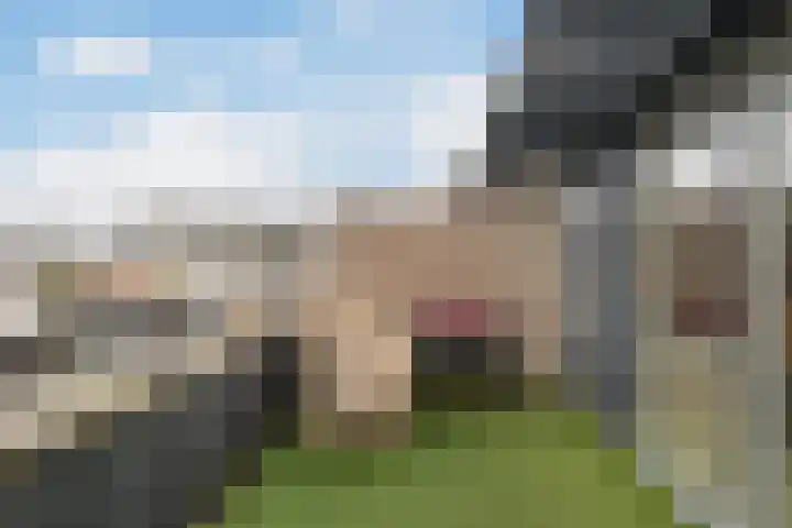 Rode Kruislaan 17 Vlaardingen thumbnail 40