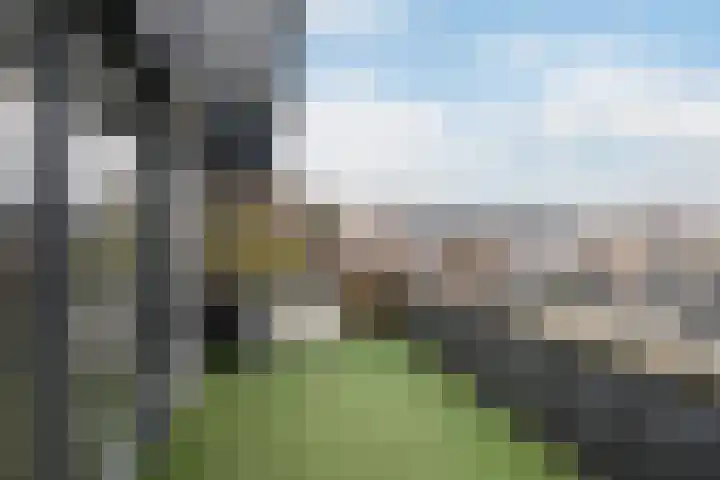 Rode Kruislaan 17 Vlaardingen thumbnail 41