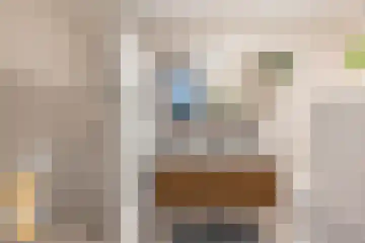 Rode Kruislaan 17 Vlaardingen thumbnail 5
