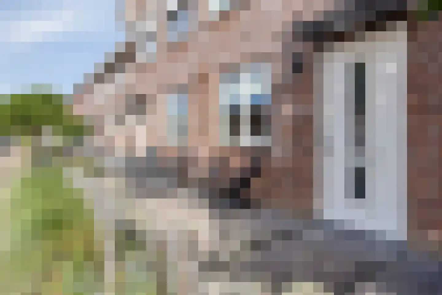 Rode Kruislaan 18 Hellevoetsluis thumbnail 32