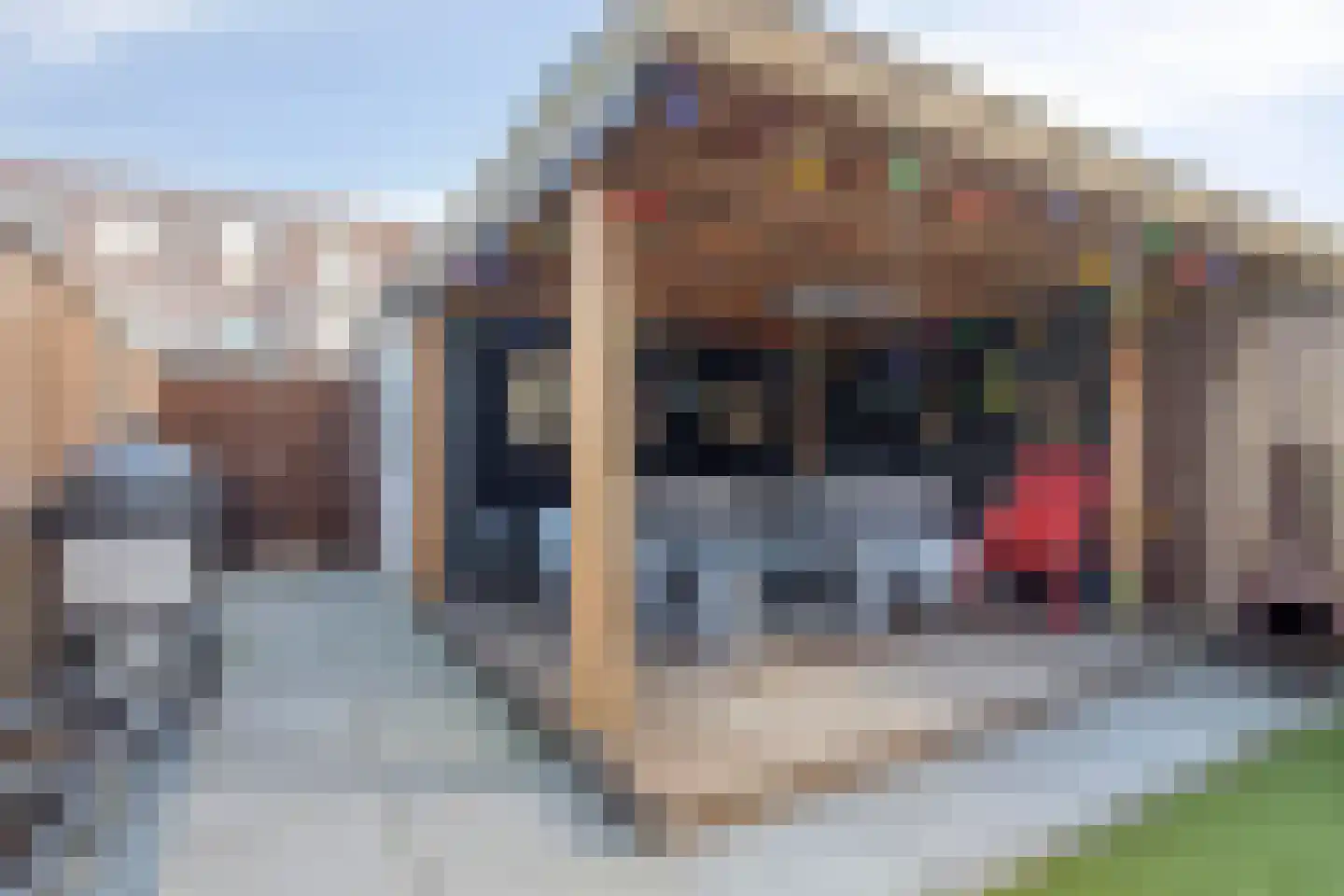 Rode Kruislaan 18 Hellevoetsluis thumbnail 35
