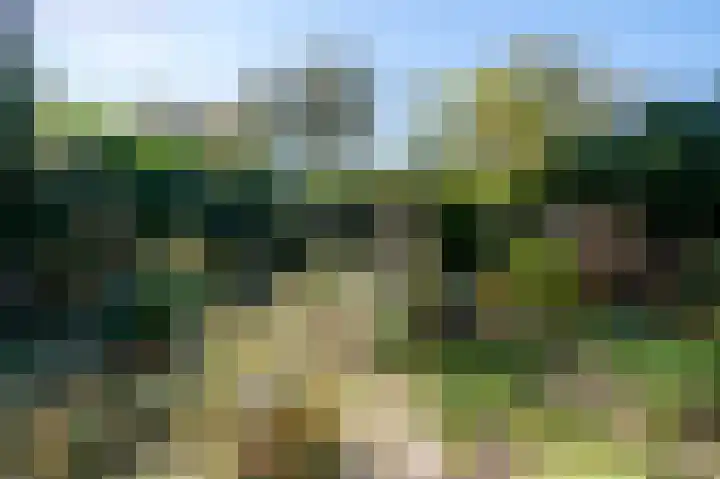Rode Kruislaan 2 Groningen thumbnail 33