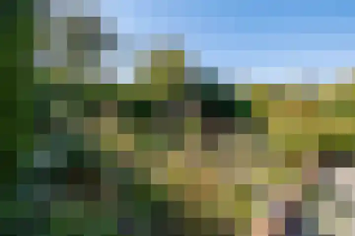 Rode Kruislaan 2 Groningen thumbnail 34