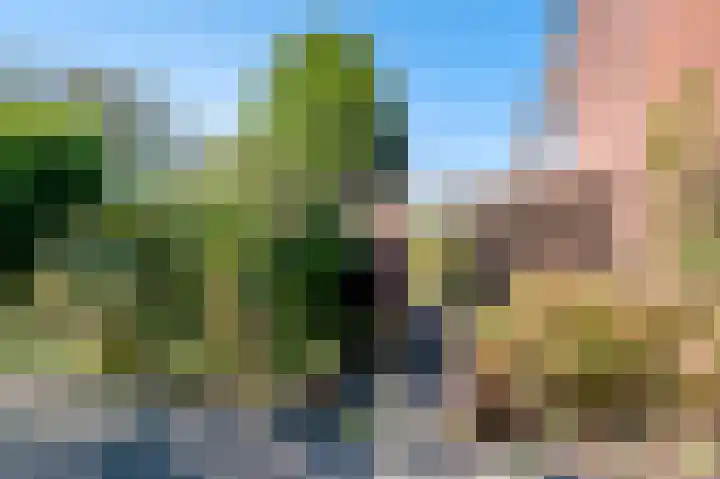 Rode Kruislaan 2 Groningen thumbnail 35