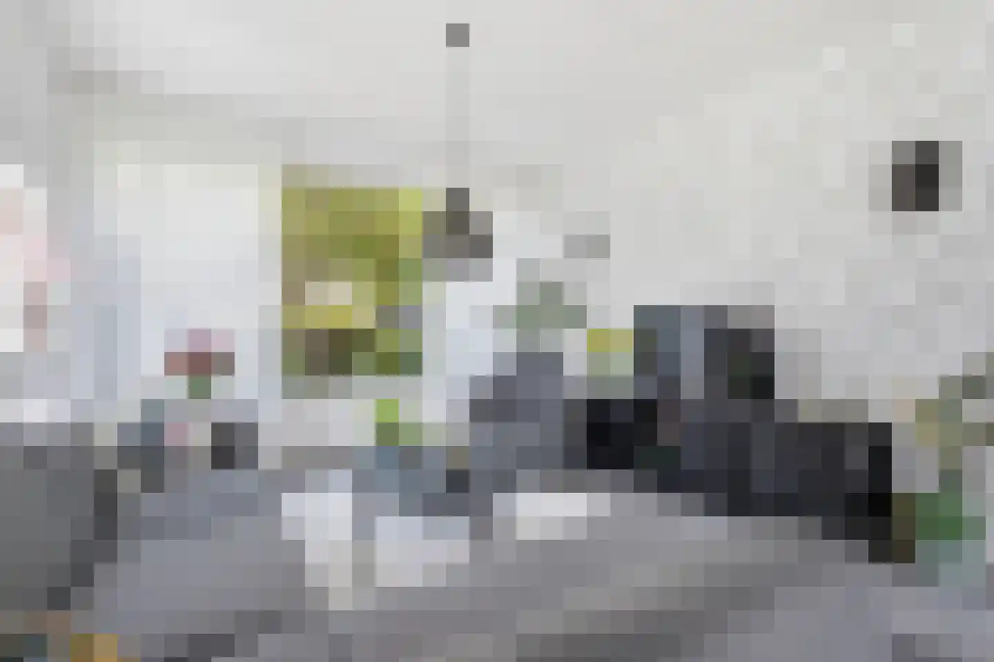 Rode Kruislaan 20 Diemen thumbnail 6