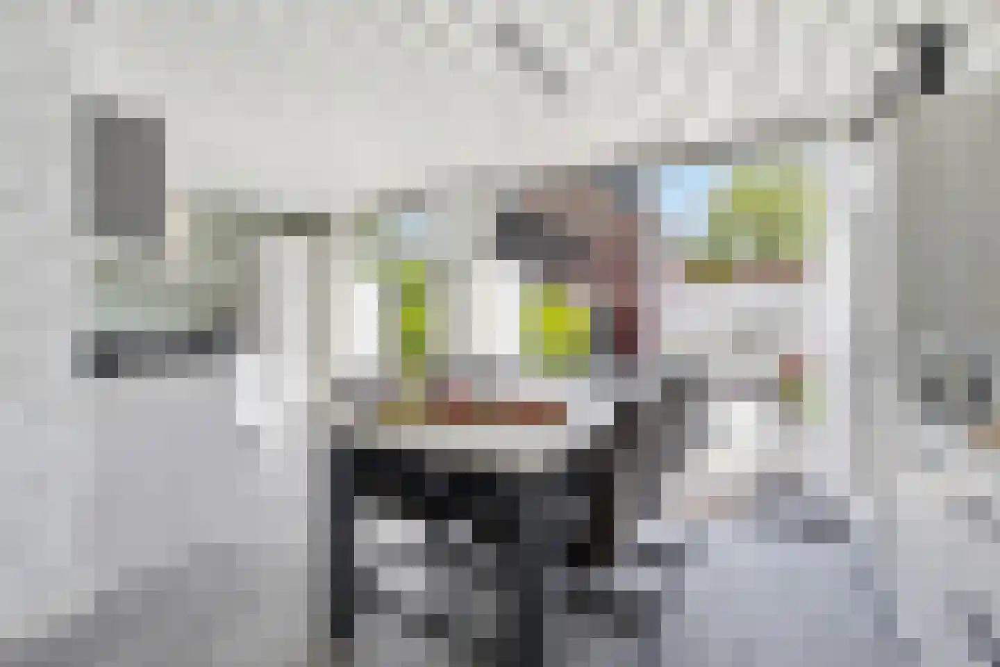 Rode Kruislaan 20 Diemen thumbnail 9