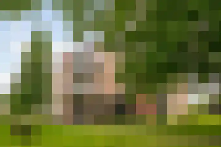 Rode Kruislaan 216 Nijmegen thumbnail 26