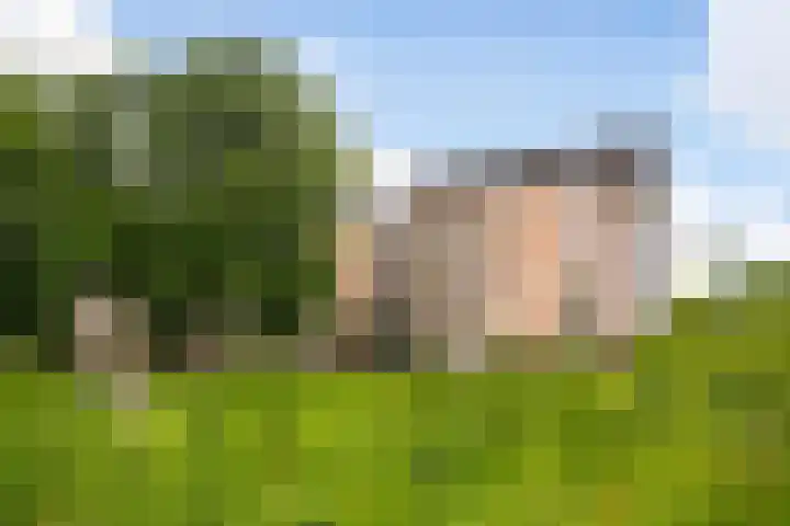 Rode Kruislaan 216 Nijmegen thumbnail 29