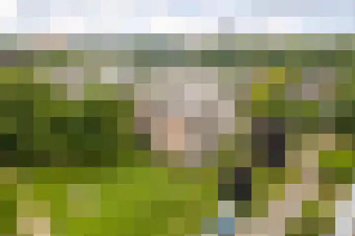 Rode Kruislaan 216 Nijmegen thumbnail 30