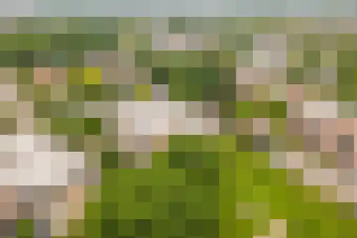 Rode Kruislaan 216 Nijmegen thumbnail 31