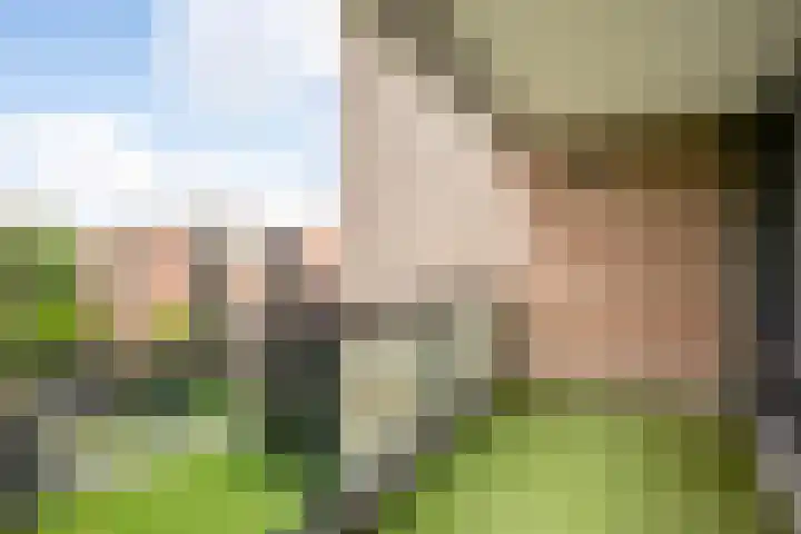 Rode Kruislaan 216 Nijmegen thumbnail 6