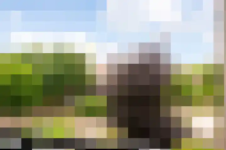 Rode Kruislaan 216 Nijmegen thumbnail 7