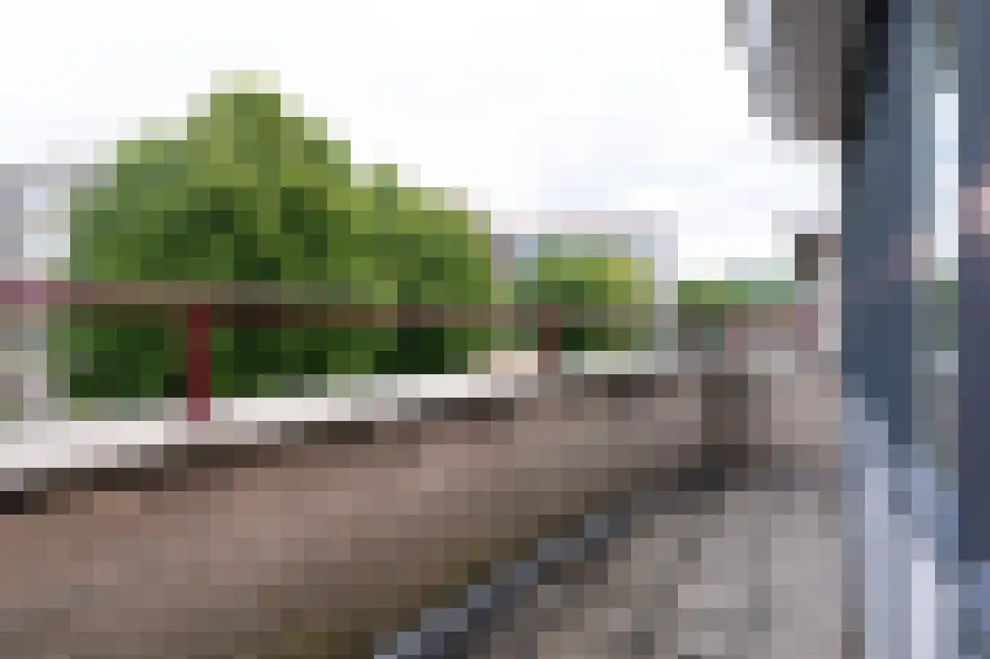 Rode Kruislaan 27 A Nijmegen thumbnail 18