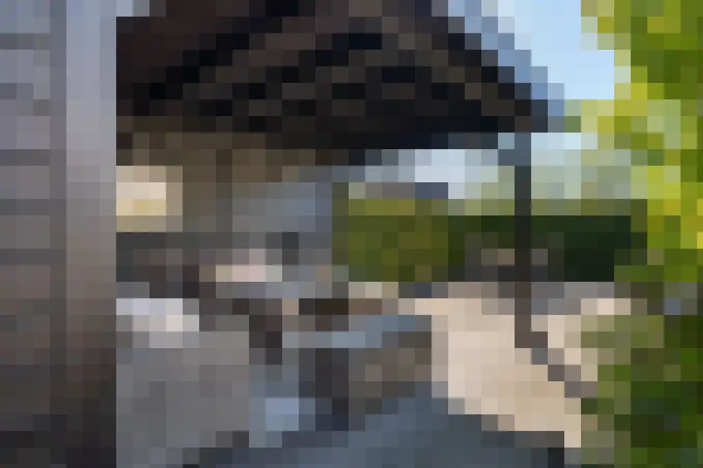 Rode Kruislaan 30 's-Gravenzande thumbnail 38