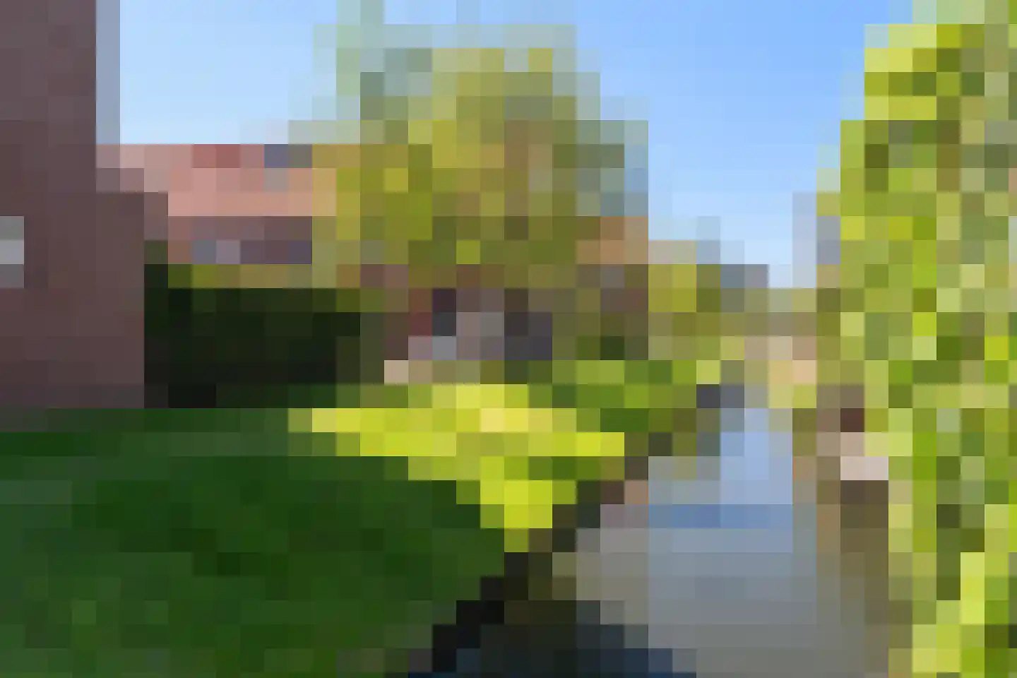 Rode Kruislaan 30 's-Gravenzande thumbnail 81